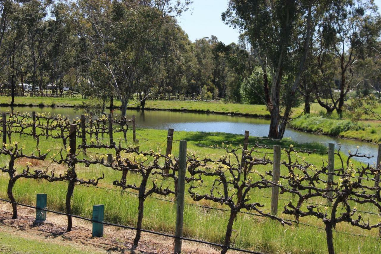 Villa Oxenberry Farm Mclaren Vale Exterior foto